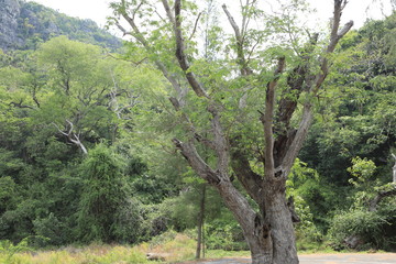 Khao Sam Roi Yot National Park