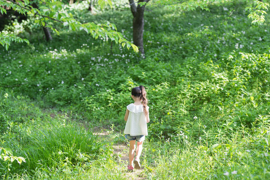 森の小道を歩く女の子