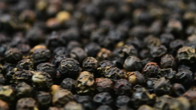 black pepper rotation