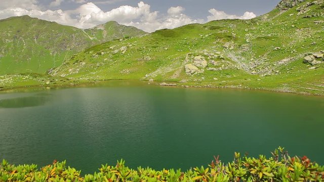 An alpine mire in the Swiss Alps Dolly