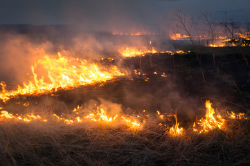 The big extensive fire in the field.