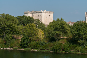 Fototapeta na wymiar Schloss an der Rhone in Tarascon