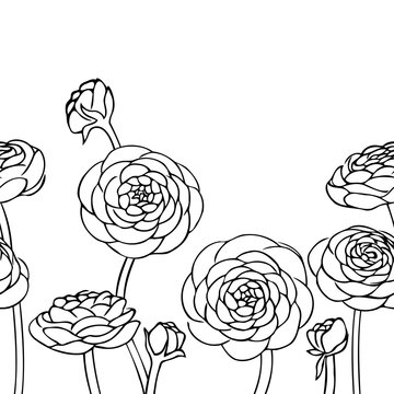 vector contour ranunculus rose flowers bud coloring book pattern elements  seamless repeating