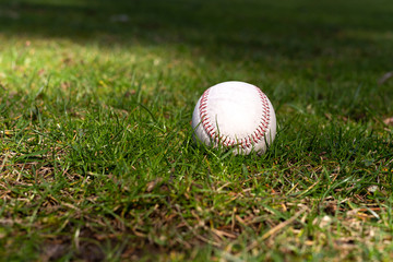 Used baseball laying on green grass