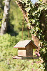 Naklejka premium wooden birdhouse