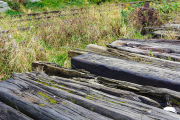Fototapeta na wymiar wood lie near the rail in the grass