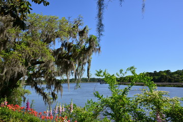 Gardens and a lake at an old Plantation in South Carolina