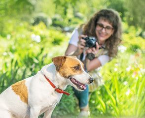 Young happy smiling woman photographer taking a photo of sitting small dog jack russel terrier outside in green summer park at sunny day. Hobby or Photographer job