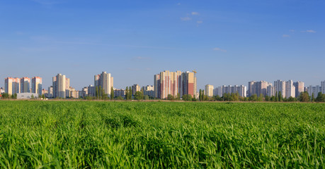 Fototapeta na wymiar Green agricultural field with urban skyline. City and nature. Horizon with residential buildings in Kiev, Ukraine