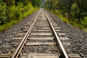 Obraz premium Le chemin de fer dans la forêt et montagnes.