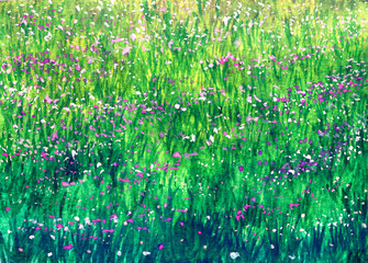 Obrazy  Kwiaty w akwarela na zielonej trawie w słońcu
