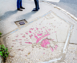 Sarajevo rose