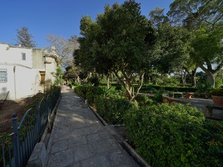 Fototapeta na wymiar マルタ島の庭園