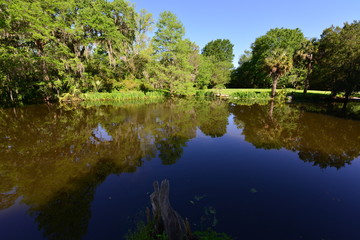 Gardens and a lake at an old Plantation house in South Carolina, USA