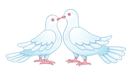 Couple of white doves kissing