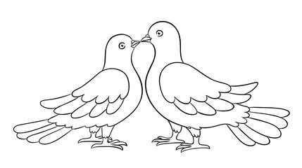 Couple of doves kissing - countour vector illustration