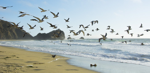 Furious waves on the beaches of california