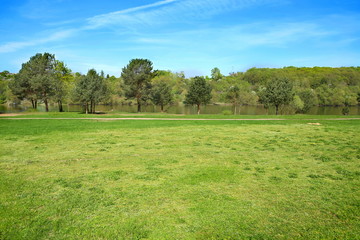 Landscape of grass and trees in  park near river.  Background for visualization design project. 