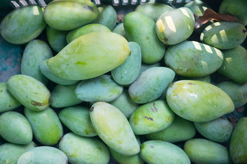 Group of green mango