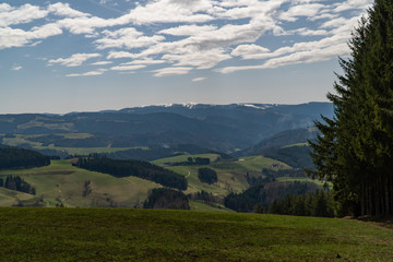 Naklejka premium Panorama Aussicht Schwarzwald Frühjahr