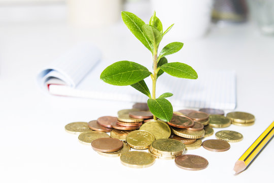 coins and plant. concept of savings and economy
