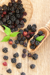 Blackberries