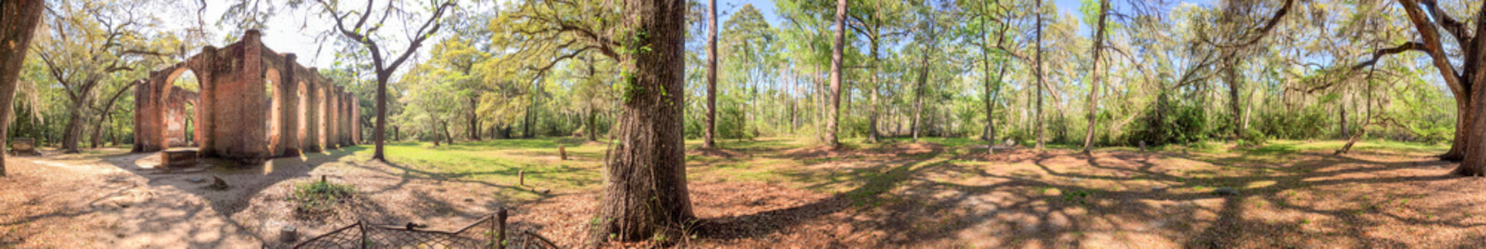 Old Sheldon Church panoramic view, South Carolina