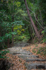 松山城 黒門口登城道の風景