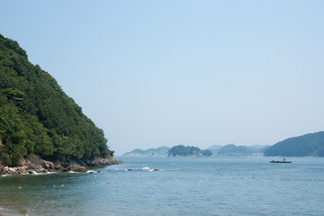 夏休みの思い出