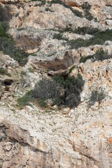 Sardaigne