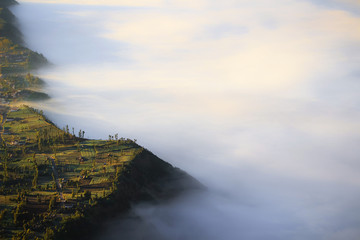 Sea of fog in the morning at Cemoro Lawang village, Mt.Bromo area in Tengger Semeru National Park, East Java, Indonesia