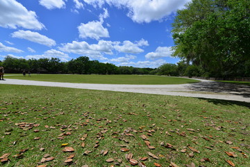 Obraz premium Landscaped gardens in Charleston, South Carolina 