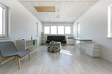 minimalistic living room interior