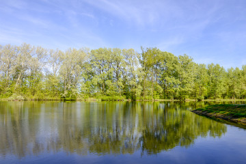 Lake in Warsaw Wilan&oacute;w