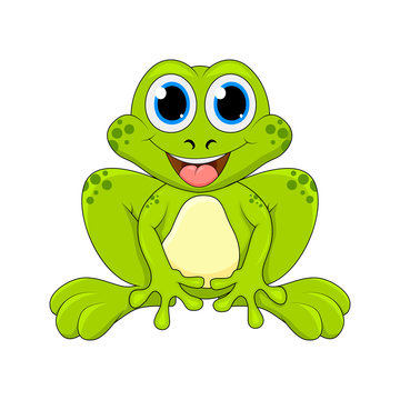 Cartoon frog cute character isolated on white background