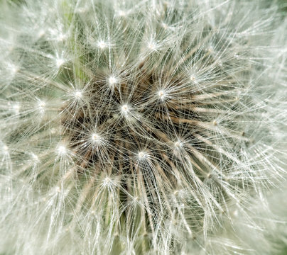 Sp Photos Images Assets Adobe Stock
