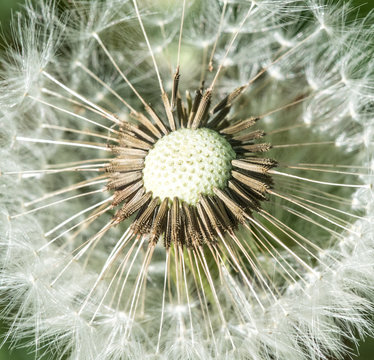 Sp Photos Images Assets Adobe Stock