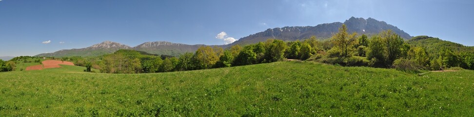 Fototapeta na wymiar Beautiful green meadow under mountain. Spring panorama, rural scene