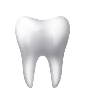 Isolated Human Tooth