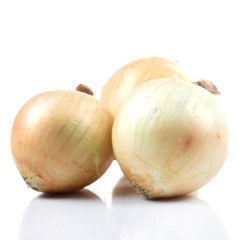 fresh onion isolated