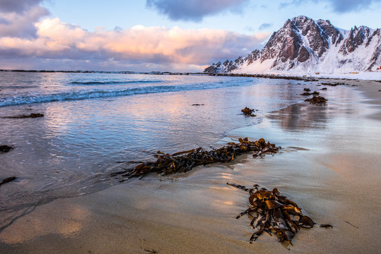 sunset on the beach