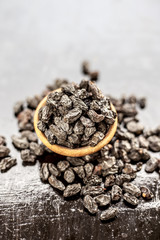 Organic dry fruit dried black grapes or black raisins or kali kishmish or black currant in a clay...