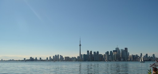 Naklejka premium Toronto Skyline