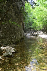 small mountain stream