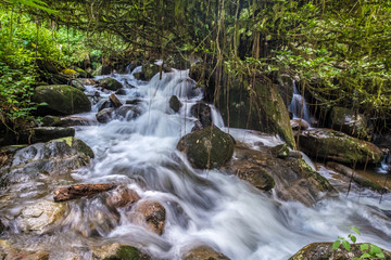 Waterfall, Ranomafana (hot water in Malagasy) National Park, Madagascar