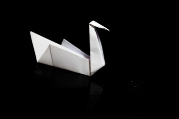 Origami folding paper, paper crane in a black background
