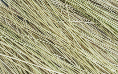 Obraz premium small pieces of wood texture background.