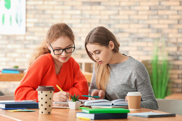 Fototapeta premium Teenage girls studying at table indoors