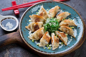 Turquoise plate with pan fried gyoza dumplings, seaweed salad and soy sauce, studio shot, selective focus