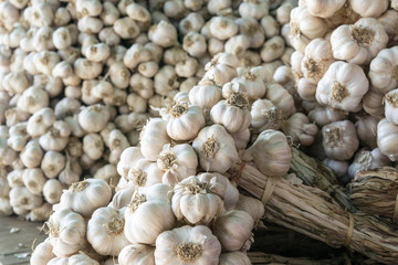 Group of fresh garlic with in the market., with Selective focus